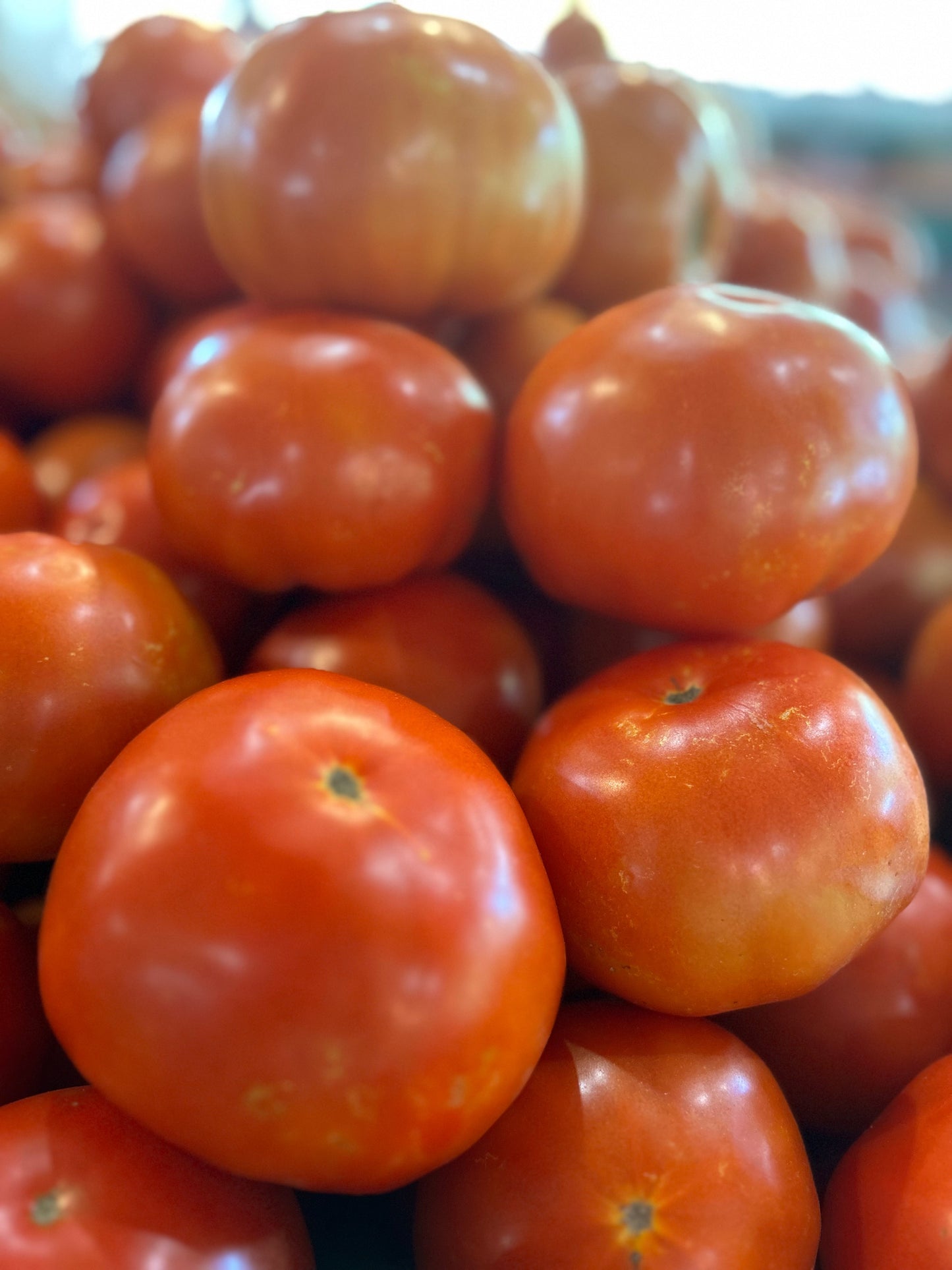 Beefsteak Tomatoes