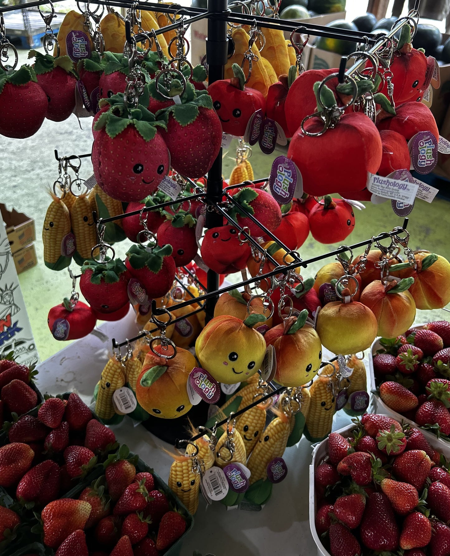 Darnell Farms Plushie Keychains