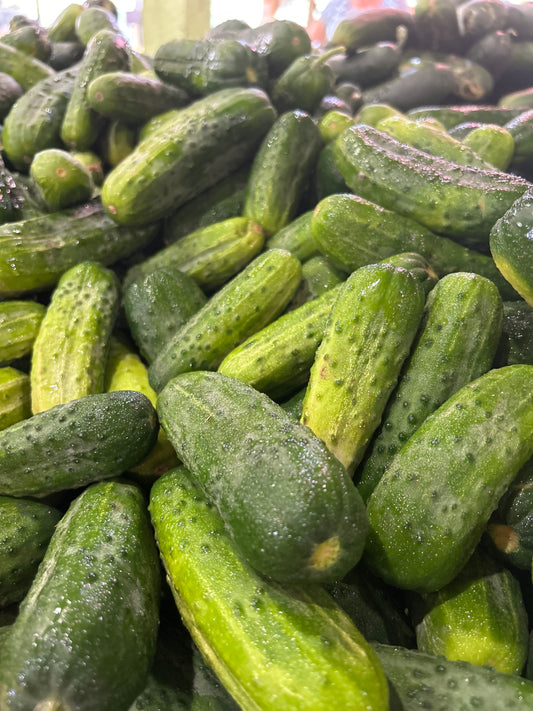 Pickling Cucumbers