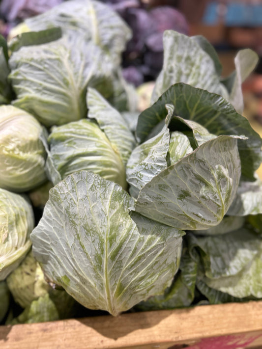 Cabbage