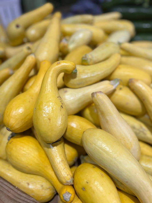 Yellow Squash