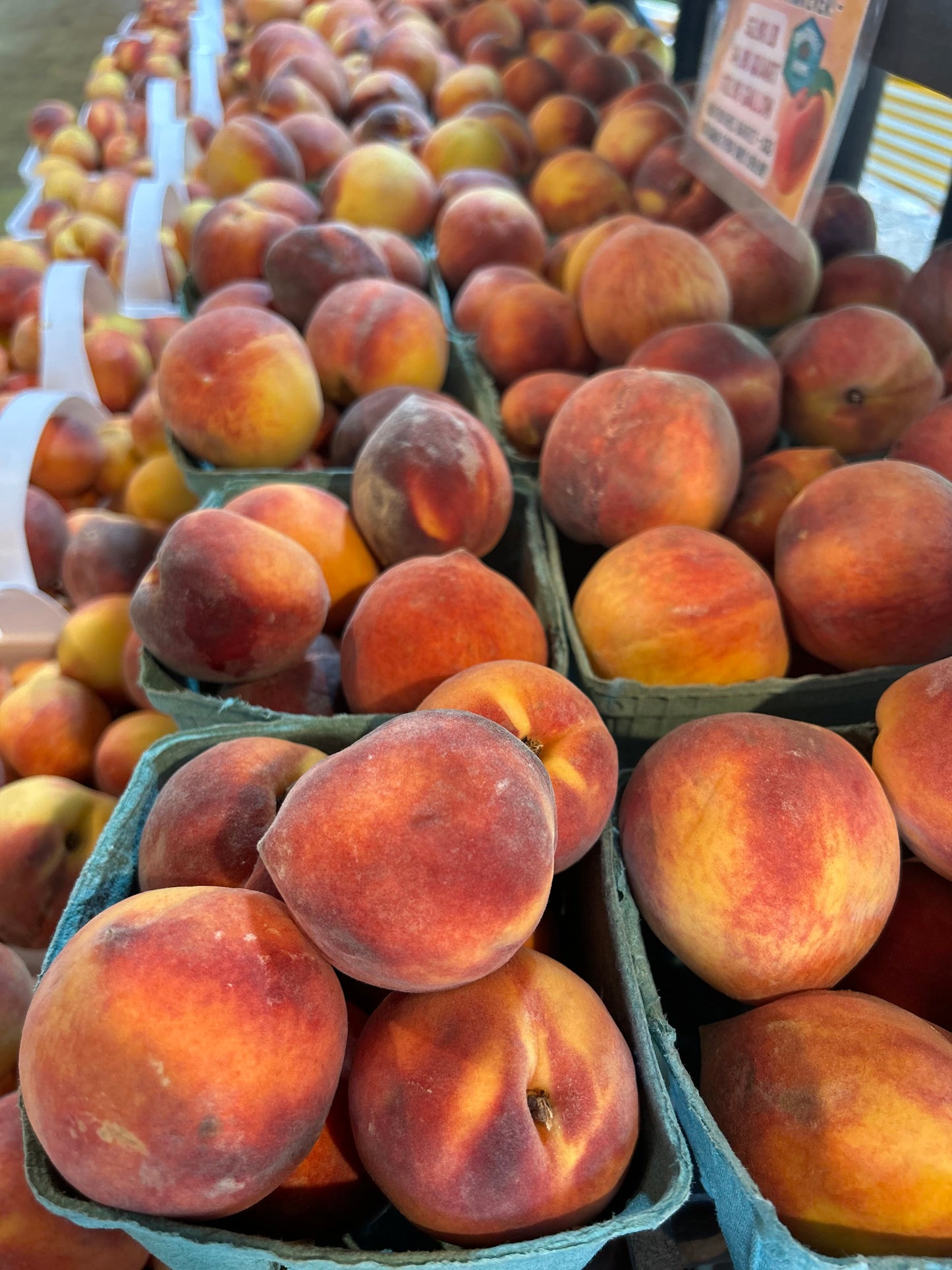 Peaches