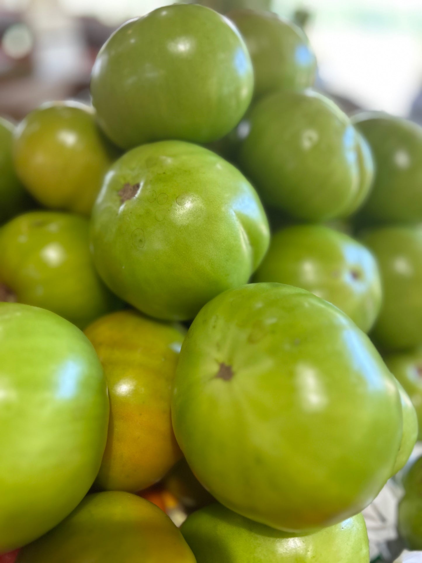 Green Tomatoes
