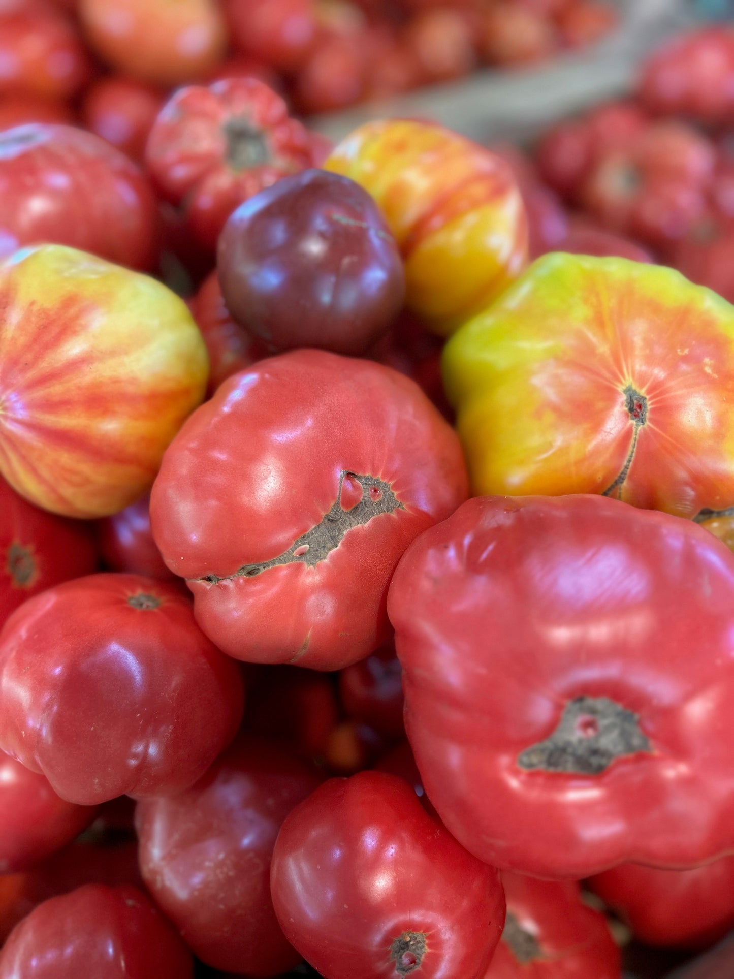Heirloom Tomatoes