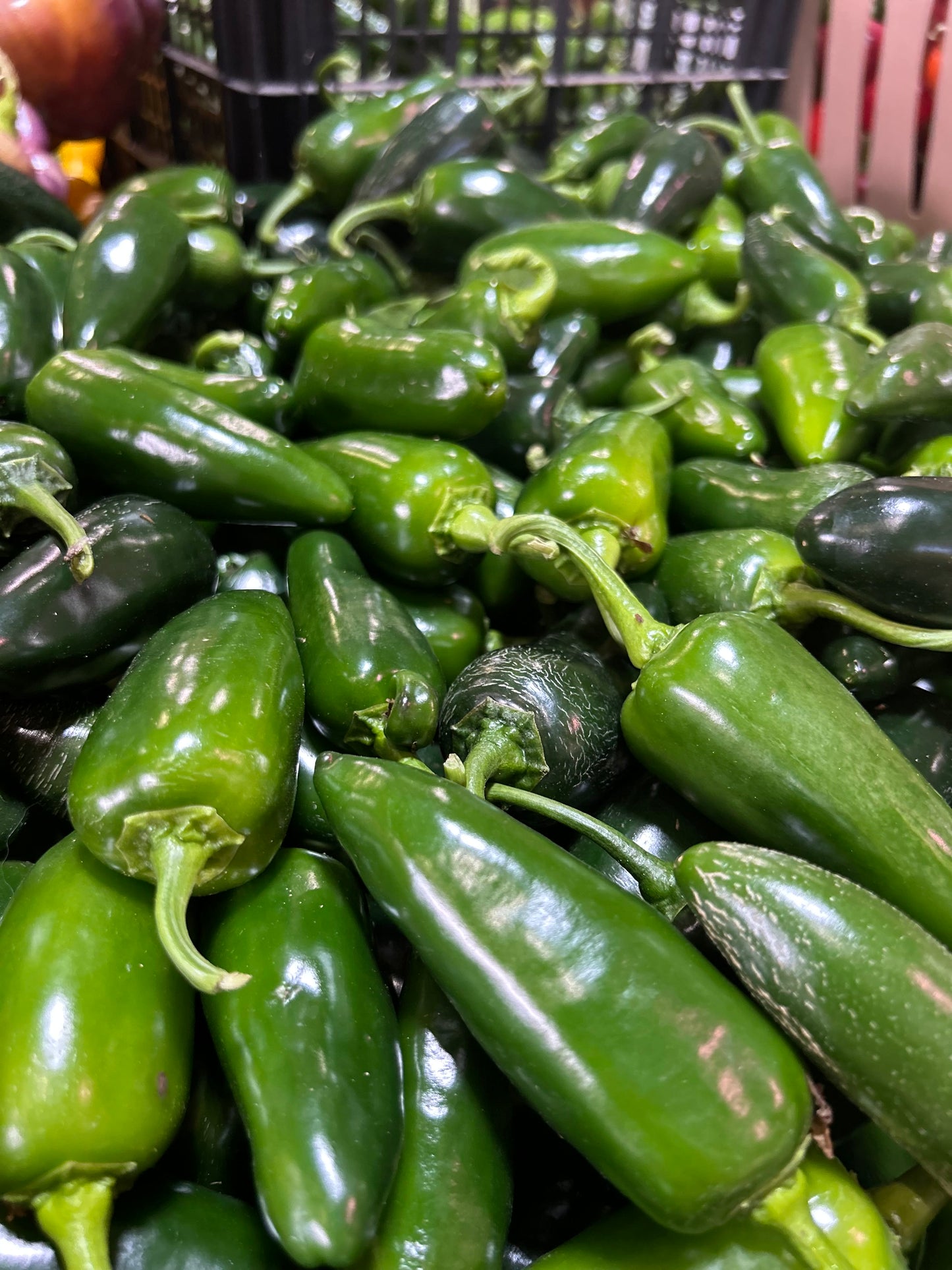 Hot Pepper Sampler Box