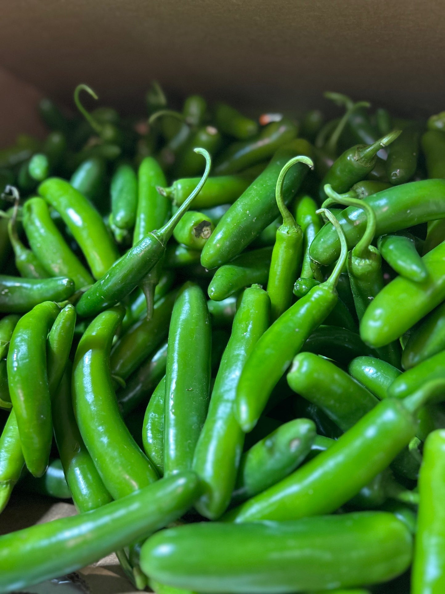 Hot Pepper Sampler Box