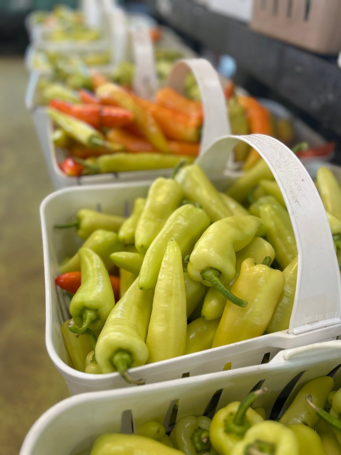 Hot Pepper Sampler Box