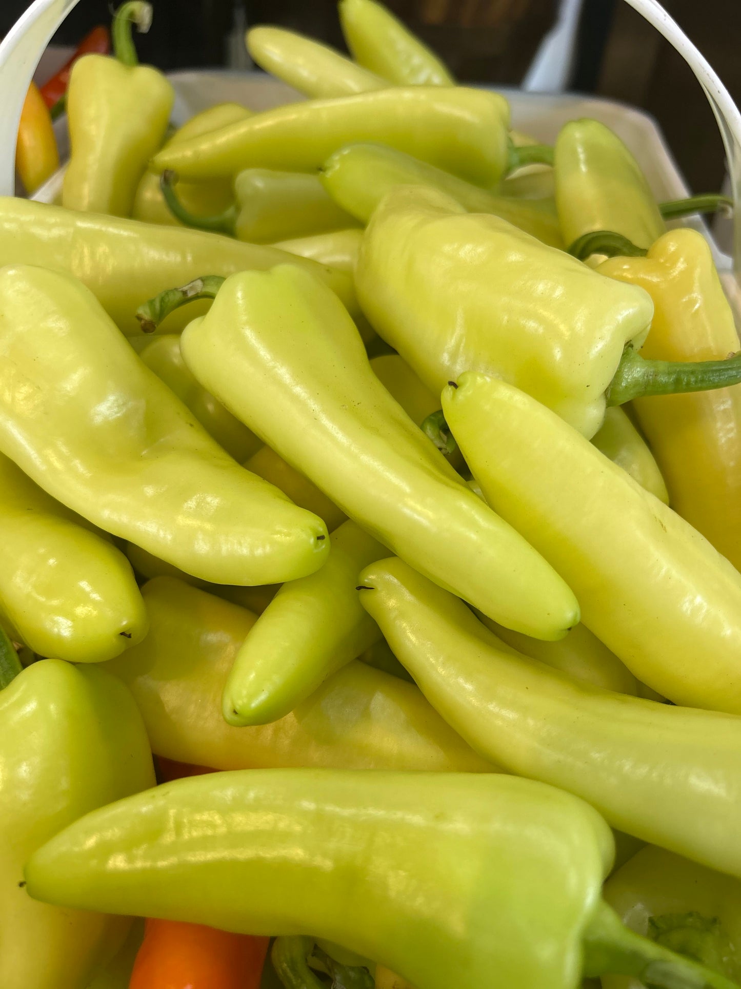 Hot Pepper Sampler Box