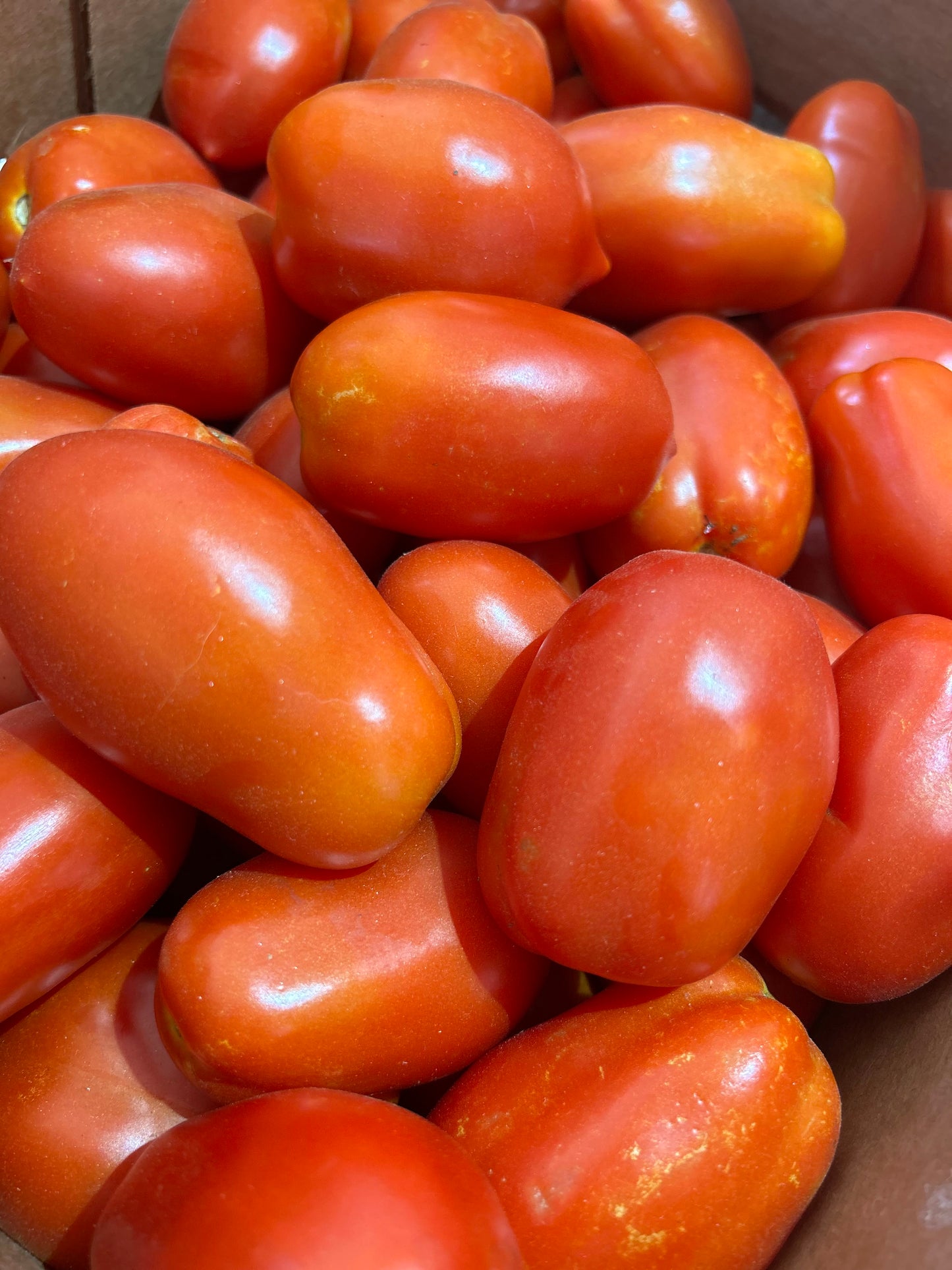 Roma Tomatoes